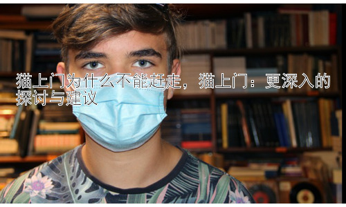 猫上门为什么不能赶走，猫上门：更深入的探讨与建议插图