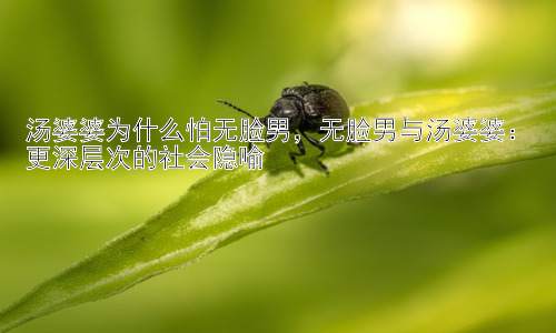 汤婆婆为什么怕无脸男，无脸男与汤婆婆：更深层次的社会隐喻插图