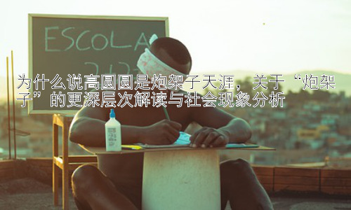 为什么说高圆圆是炮架子天涯，关于“炮架子”的更深层次解读与社会现象分析插图