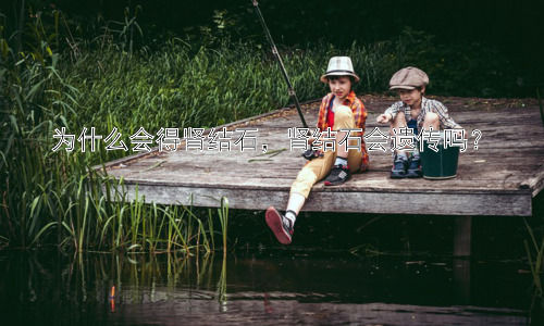 为什么会得肾结石，肾结石会遗传吗？插图