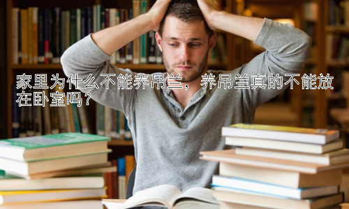 家里为什么不能养吊兰，养吊兰真的不能放在卧室吗？插图