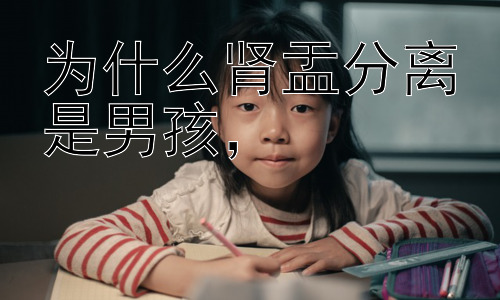 为什么肾盂分离是男孩，#插图
