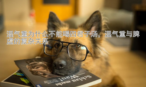 湿气重为什么不能喝四君子汤，湿气重与脾虚的复杂关系插图