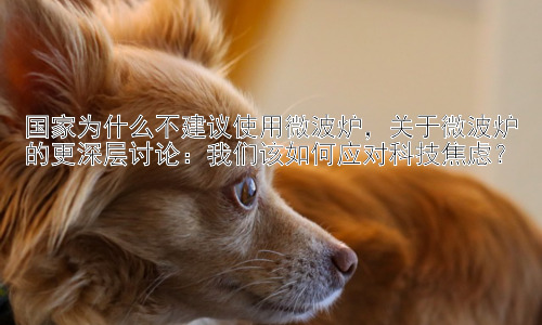 国家为什么不建议使用微波炉，关于微波炉的更深层讨论：我们该如何应对科技焦虑？插图