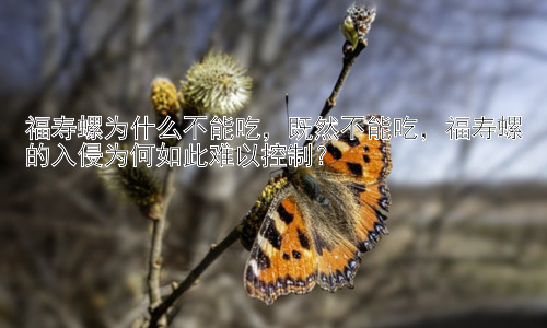 福寿螺为什么不能吃，既然不能吃，福寿螺的入侵为何如此难以控制？插图