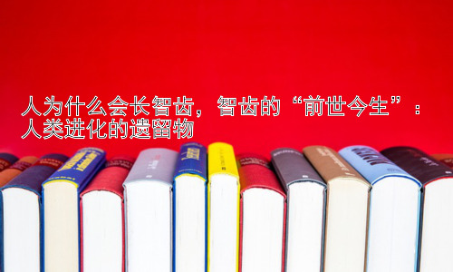 人为什么会长智齿，智齿的“前世今生”：人类进化的遗留物插图