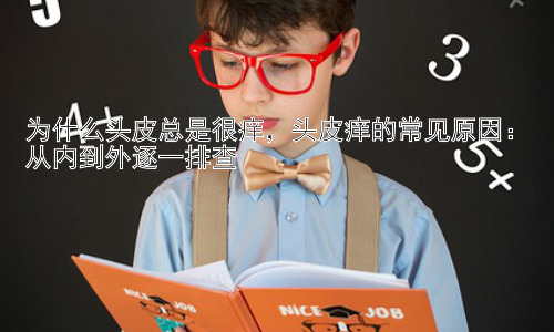 为什么头皮总是很痒，头皮痒的常见原因：从内到外逐一排查插图