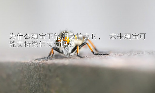 为什么淘宝不能用微信支付， 未来淘宝可能支持微信支付吗？插图