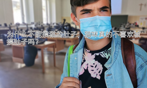 为什么不能摸猫的肚子，猫咪真的不喜欢被摸肚子吗？插图