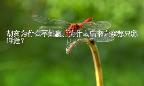 胡亥为什么不姓嬴，为什么后来大家都只称呼姓？插图