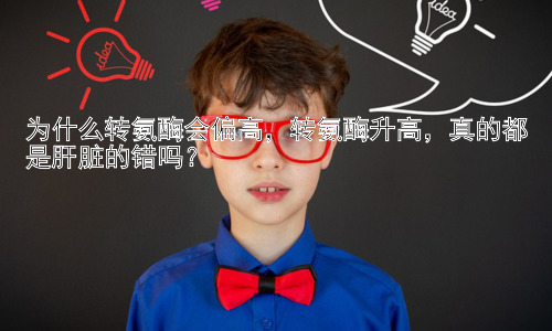 为什么转氨酶会偏高，转氨酶升高，真的都是肝脏的错吗？插图