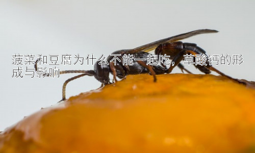 菠菜和豆腐为什么不能一起吃，草酸钙的形成与影响插图