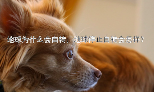 地球为什么会自转，地球停止自转会怎样？插图