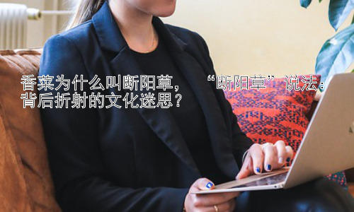 香菜为什么叫断阳草， “断阳草”说法：背后折射的文化迷思？插图