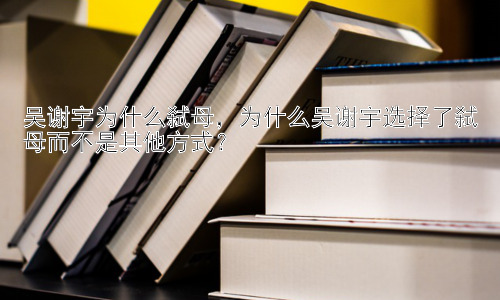 吴谢宇为什么弑母，为什么吴谢宇选择了弑母而不是其他方式？插图