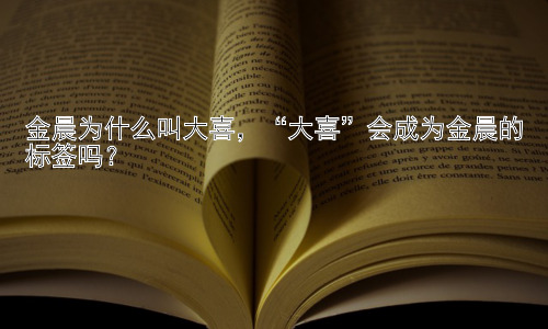 金晨为什么叫大喜，“大喜”会成为金晨的标签吗？插图