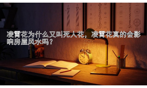 凌霄花为什么又叫死人花，凌霄花真的会影响房屋风水吗？插图