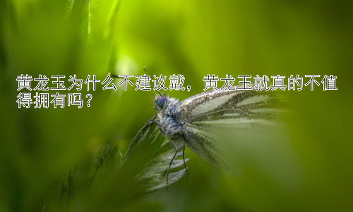 黄龙玉为什么不建议戴，黄龙玉就真的不值得拥有吗？插图