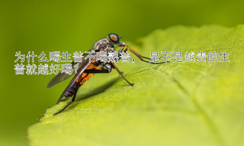 为什么喝生普不喝熟普， 是不是越贵的生普就越好喝？插图