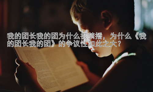 我的团长我的团为什么被禁播，为什么《我的团长我的团》的争议性如此之大？插图