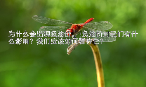 为什么会出现负油价， 负油价对我们有什么影响？我们应该如何看待它？插图