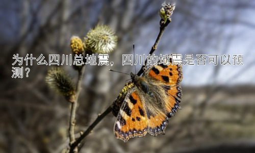 为什么四川总地震，四川的地震是否可以预测？插图