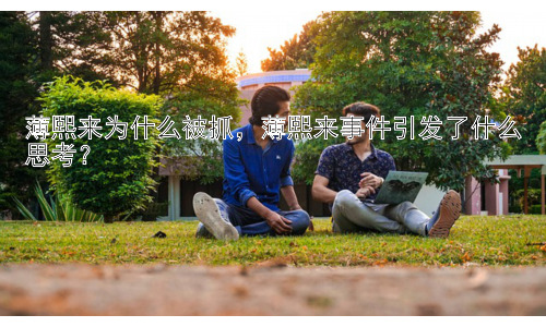 薄熙来为什么被抓，薄熙来事件引发了什么思考？插图