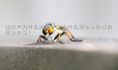 切尔西为什么叫车子，为什么很多球队都有很多外号？插图