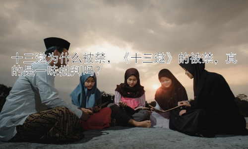 十三邀为什么被禁，《十三邀》的被禁，真的是一味批判吗？插图