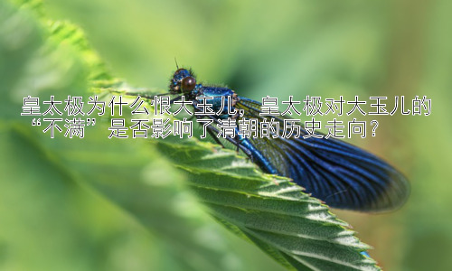 皇太极为什么恨大玉儿，皇太极对大玉儿的“不满”是否影响了清朝的历史走向？插图