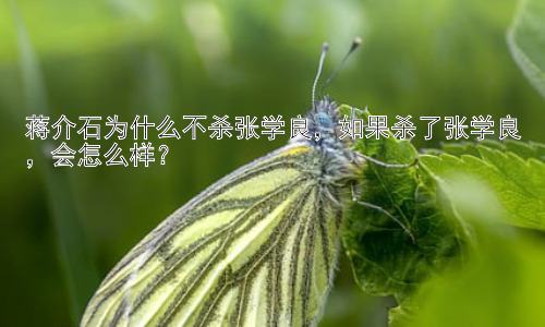 蒋介石为什么不杀张学良，如果杀了张学良，会怎么样？插图