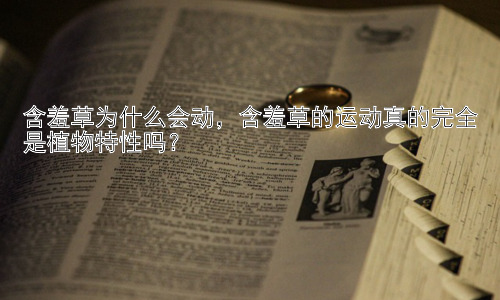含羞草为什么会动，含羞草的运动真的完全是植物特性吗？插图
