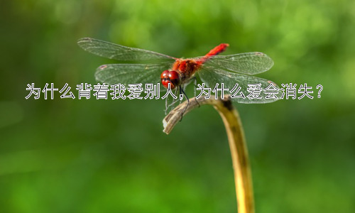 为什么背着我爱别人，为什么爱会消失？插图