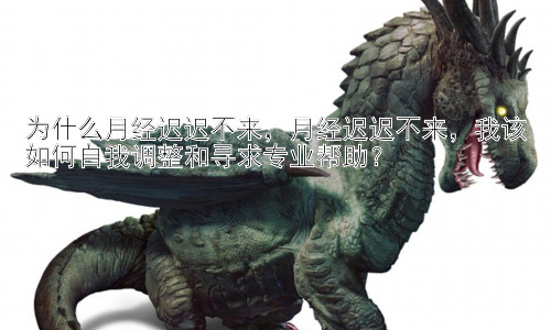 为什么月经迟迟不来，月经迟迟不来，我该如何自我调整和寻求专业帮助？插图