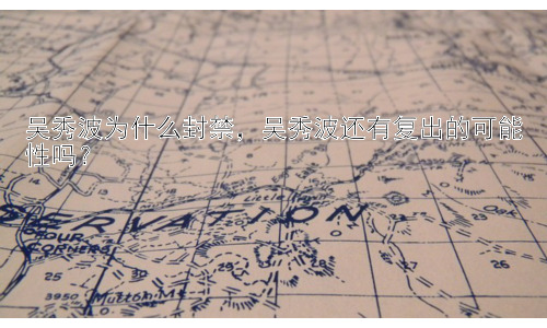 吴秀波为什么封禁，吴秀波还有复出的可能性吗？插图