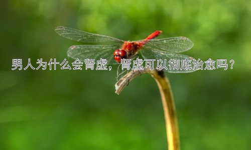 男人为什么会肾虚，肾虚可以彻底治愈吗？插图