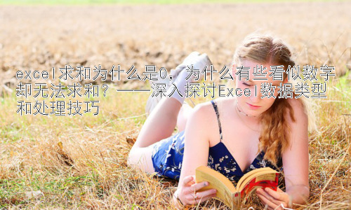 excel求和为什么是0，为什么有些看似数字却无法求和？——深入探讨Excel数据类型和处理技巧插图