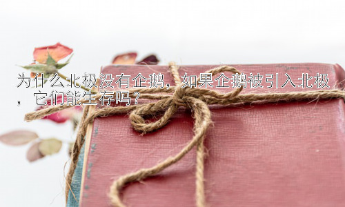 为什么北极没有企鹅，如果企鹅被引入北极，它们能生存吗？插图