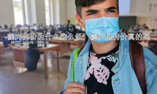 鹤岗房价为什么这么低，鹤岗低房价真的是“天堂”吗？插图