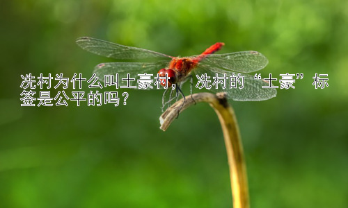 冼村为什么叫土豪村， 冼村的“土豪”标签是公平的吗？插图
