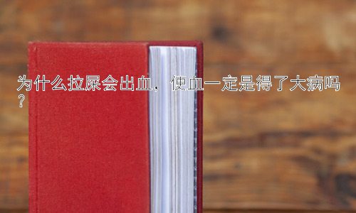 为什么拉屎会出血，便血一定是得了大病吗？插图