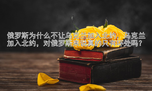 俄罗斯为什么不让乌克兰加入北约，乌克兰加入北约，对俄罗斯来说真的只有坏处吗？插图