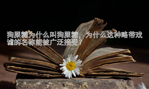 狗屎糖为什么叫狗屎糖，为什么这种略带戏谑的名称能被广泛接受？插图