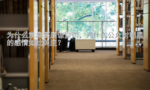为什么袁泉要原谅夏雨，为什么公众对明星的感情如此关注？插图