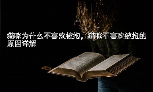 猫咪为什么不喜欢被抱，猫咪不喜欢被抱的原因详解插图