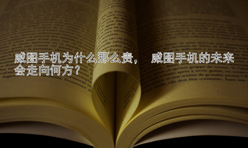 威图手机为什么那么贵， 威图手机的未来会走向何方？插图
