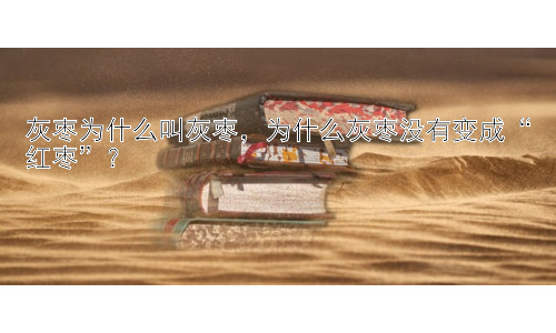 灰枣为什么叫灰枣，为什么灰枣没有变成“红枣”？插图