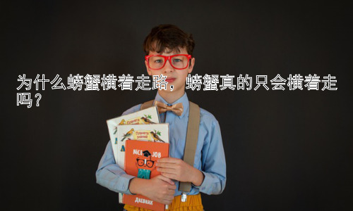 为什么螃蟹横着走路，螃蟹真的只会横着走吗？插图