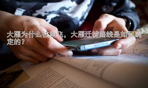 大雁为什么往南飞，大雁迁徙路线是如何确定的？插图