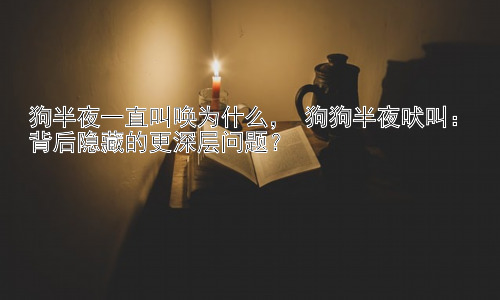 狗半夜一直叫唤为什么， 狗狗半夜吠叫：背后隐藏的更深层问题？插图